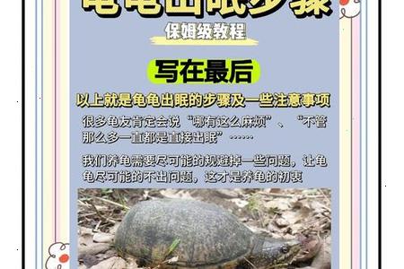 梦见龟壳在夜里发光