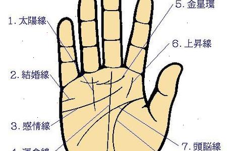 看相,手相学