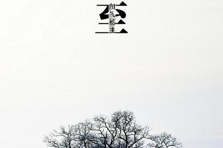 2025年冬至有哪些传统习俗和注意事项需要知道？