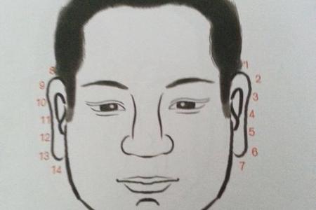 看相,面相学