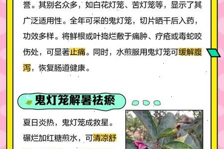 梦见深夜古庙灯笼随风摇晃