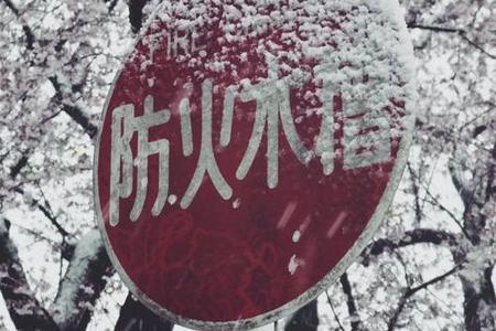梦见清晨飘落的笔记本