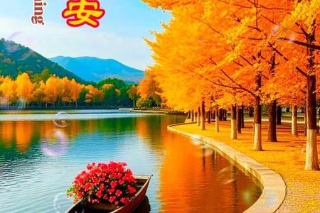 梦见花儿在清晨悄悄绽放