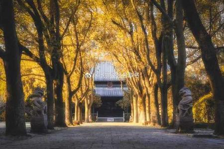 2024年10月25日丑时出生的八字女命