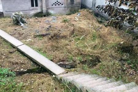 梦见老屋灯光下自己悄悄写作业