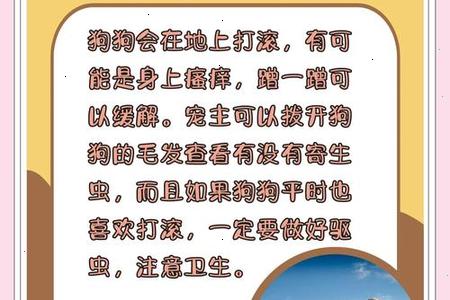 梦见阳光下的绿草地和小狗玩耍