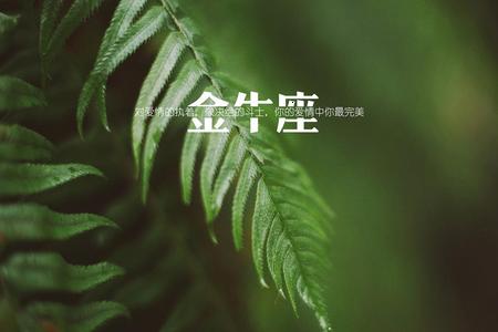 金牛座2025年07月02日运程